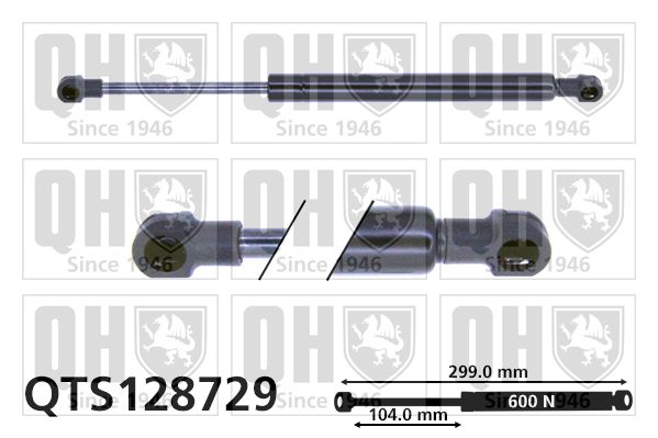 QUINTON HAZELL Gaasivedru, pagasi-/veoruum QTS128729